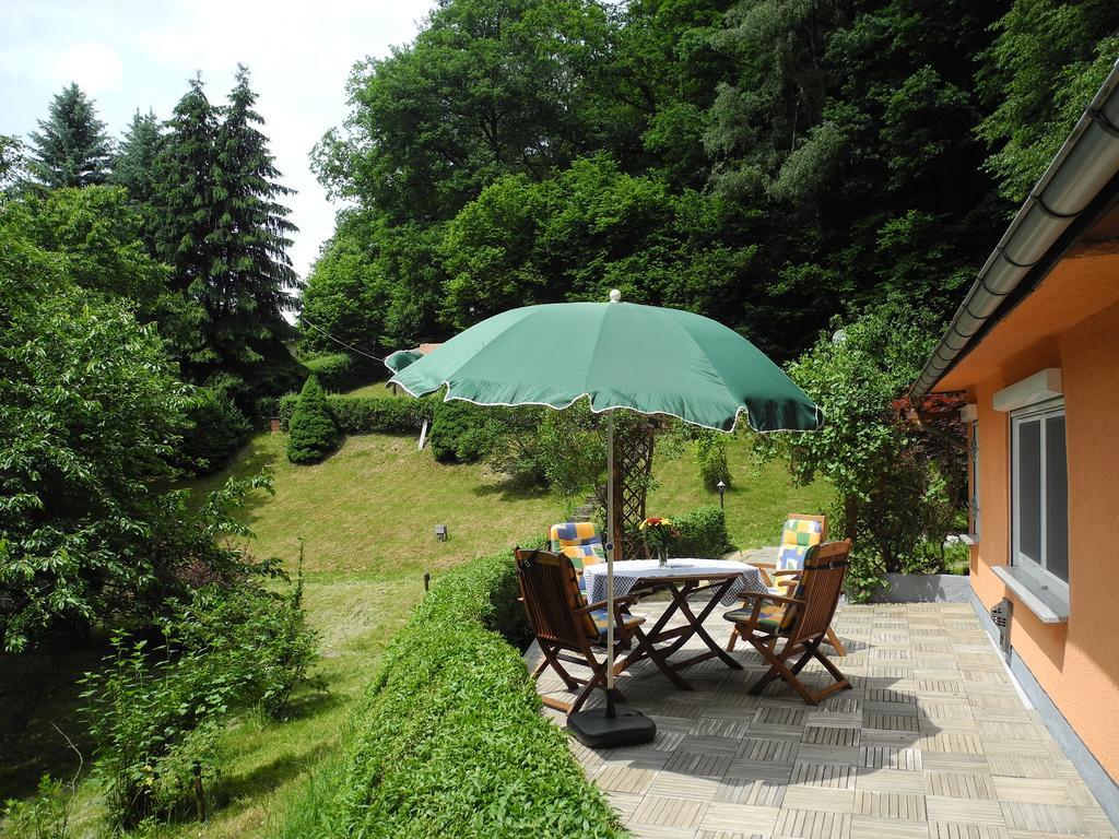 Ferienhaus Am Urzeitpark Sebnitz Hertigswalde Kültér fotó