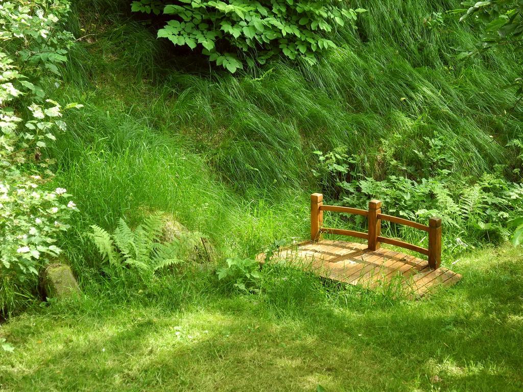 Ferienhaus Am Urzeitpark Sebnitz Hertigswalde Kültér fotó